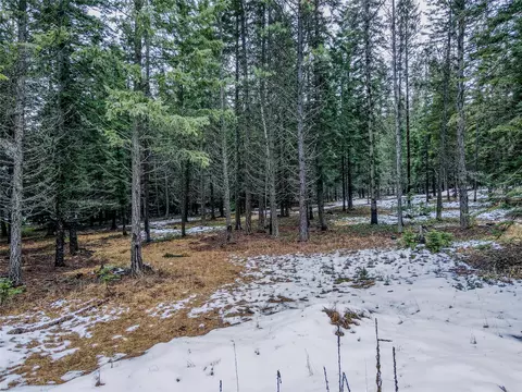 Exterior - 260 Bobtail Meadow Rd, Libby, MT 59923 photo 12 of 12