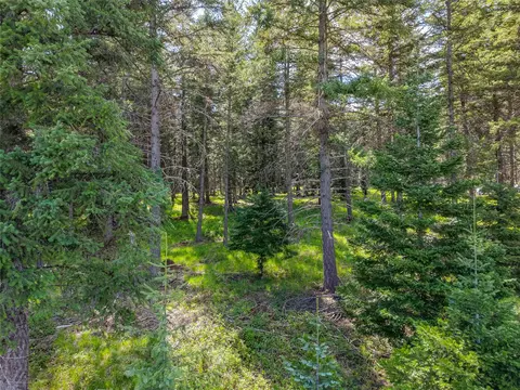Exterior - 260 Bobtail Meadow Rd, Libby, MT 59923 photo 10 of 12