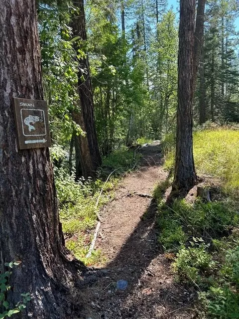 Other - 29545 Drifting Way, Bigfork, MT 59911 photo 5 of 5