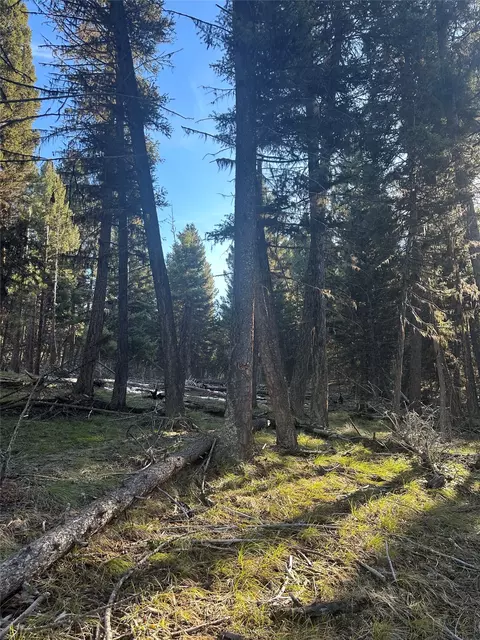 1274 Grandview Dr, Seeley Lake, MT 59868