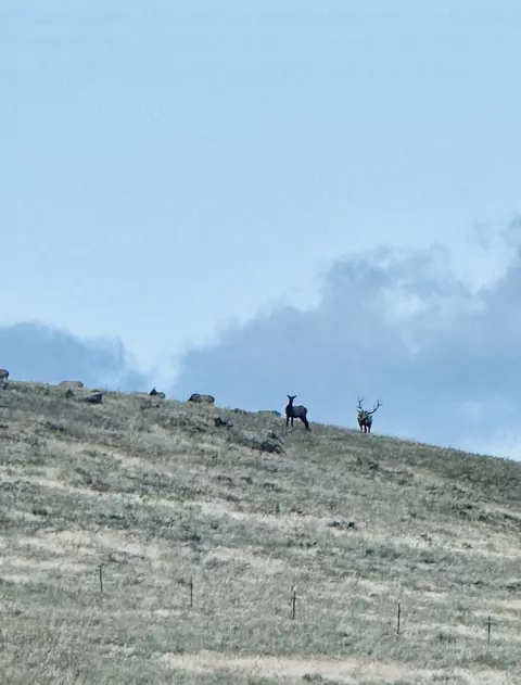 tbd Fiddlers Green Rd, Clancy, MT 59634 photo 8