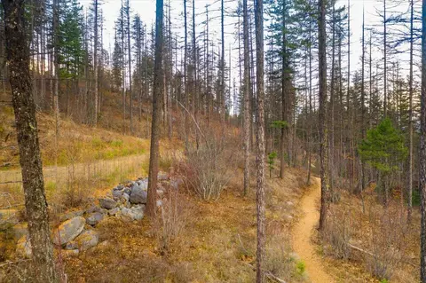 237 Timberjack Trl, Bigfork, MT 59911 photo 12