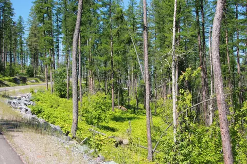 237 Timberjack Trl, Bigfork, MT 59911 photo 7