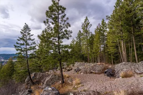 237 Timberjack Trl, Bigfork, MT 59911 photo 29