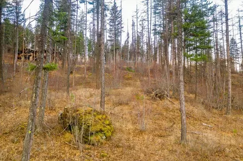 237 Timberjack Trl, Bigfork, MT 59911 photo 11