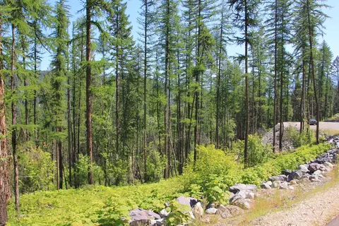 237 Timberjack Trl, Bigfork, MT 59911