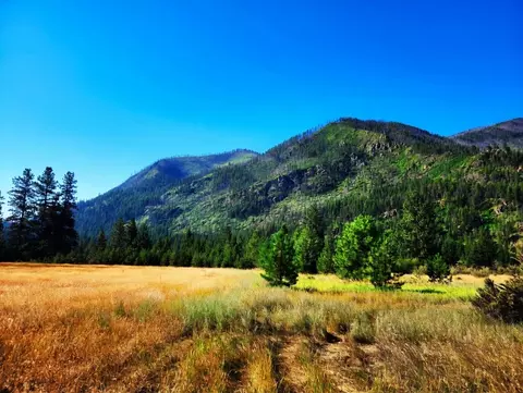 lot4 Harbine Ranch Rd, Plains, MT 59859