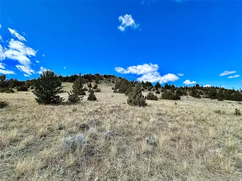 321 Shining Mtns, Ennis, MT 59729 photo 10