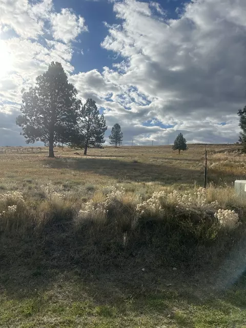461 Arrow Hill Ranch Rd, Hamilton, MT 59840