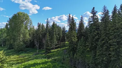 295 Burks Bottom Rd, Eureka, MT 59917 photo 58