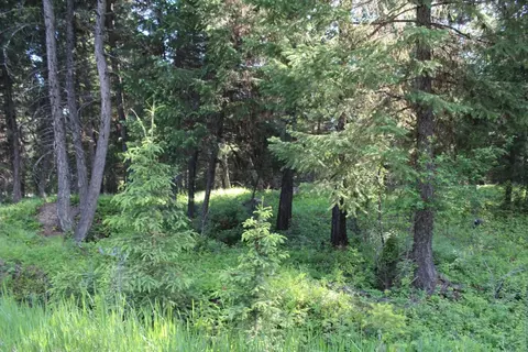 295 Burks Bottom Rd, Eureka, MT 59917 photo 69