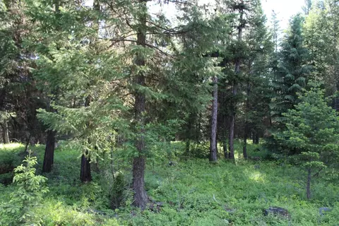 295 Burks Bottom Rd, Eureka, MT 59917 photo 70