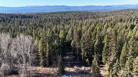 295 Burks Bottom Rd, Eureka, MT 59917 photo 50
