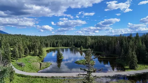295 Burks Bottom Rd, Eureka, MT 59917 photo 6