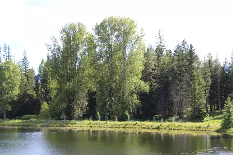 295 Burks Bottom Rd, Eureka, MT 59917 photo 57
