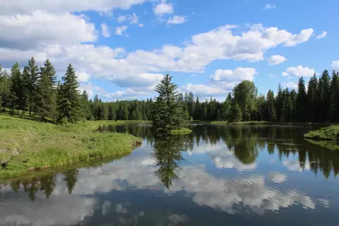 295 Burks Bottom Rd, Eureka, MT 59917 photo 4