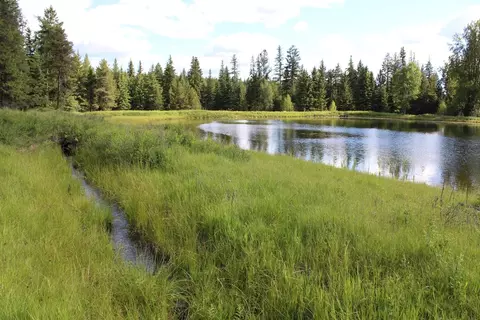 295 Burks Bottom Rd, Eureka, MT 59917 photo 63