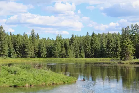 295 Burks Bottom Rd, Eureka, MT 59917 photo 56