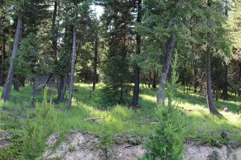 295 Burks Bottom Rd, Eureka, MT 59917 photo 72