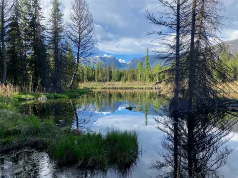 295 Burks Bottom Rd, Eureka, MT 59917 photo 2