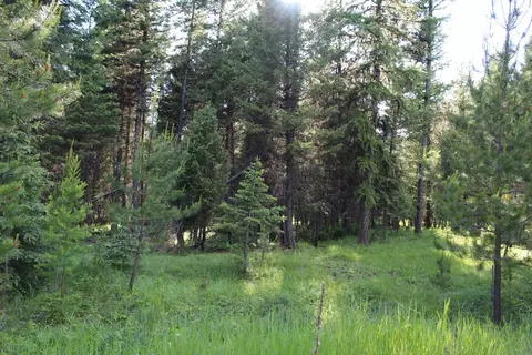 295 Burks Bottom Rd, Eureka, MT 59917 photo 71
