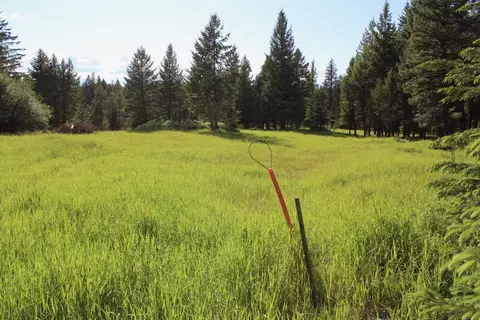 295 Burks Bottom Rd, Eureka, MT 59917 photo 73