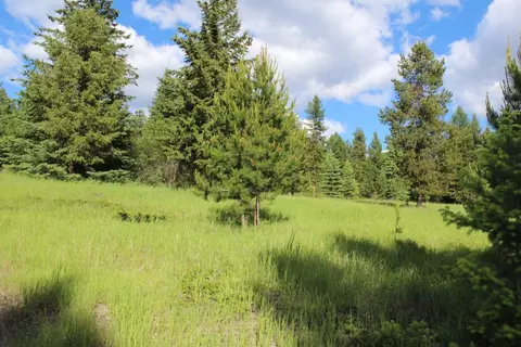 295 Burks Bottom Rd, Eureka, MT 59917 photo 65
