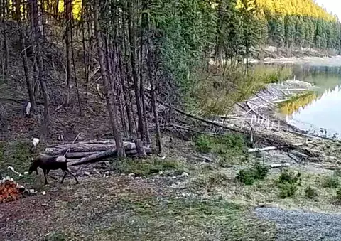 View/Area - 776 Summerville Rd, Eureka, MT 59917 photo 9 of 9