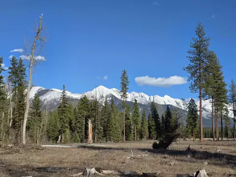 Nhn Nhn Hollopeter Road, Condon, MT 59826