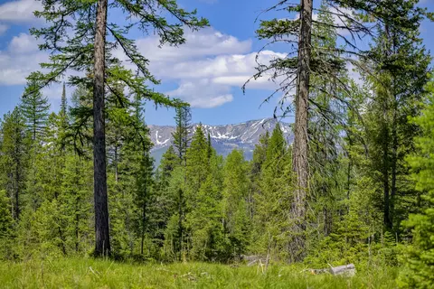 Nhn Lindbergh Lake Road, Condon, MT 59826