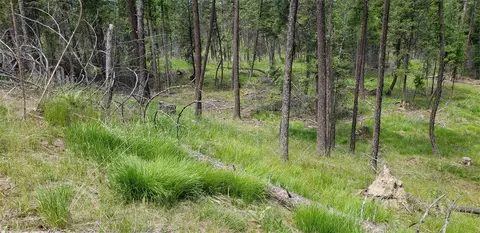109 Coffee Dr, Eureka, MT 59917 photo 5