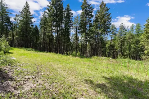 433 Buffalo Trl, Somers, MT 59932