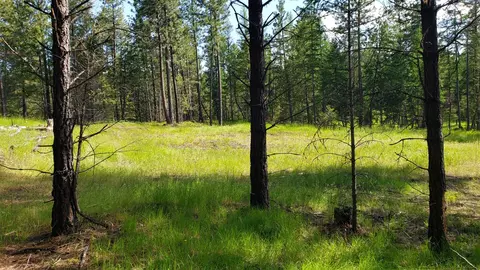 151 Coffee Dr, Eureka, MT 59917