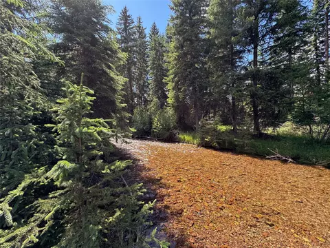 265 N Canyon Dr, Seeley Lake, MT 59868