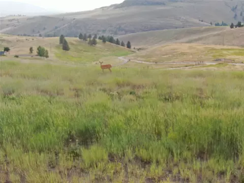 Nhn Deemer Creek Road, Plains, MT 59859