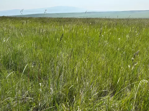 tbd U Bet Rd, Buffalo, MT 59418 photo 6