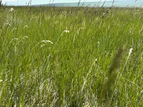 tbd U Bet Rd, Buffalo, MT 59418 photo 5
