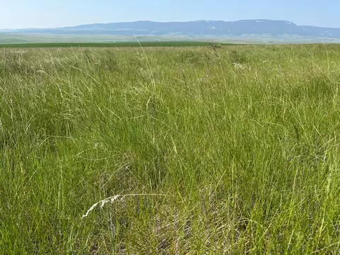 tbd U Bet Rd, Buffalo, MT 59418 photo 7