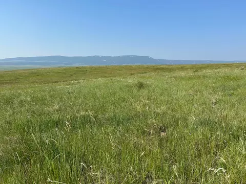 tbd U Bet Rd, Buffalo, MT 59418 photo 3