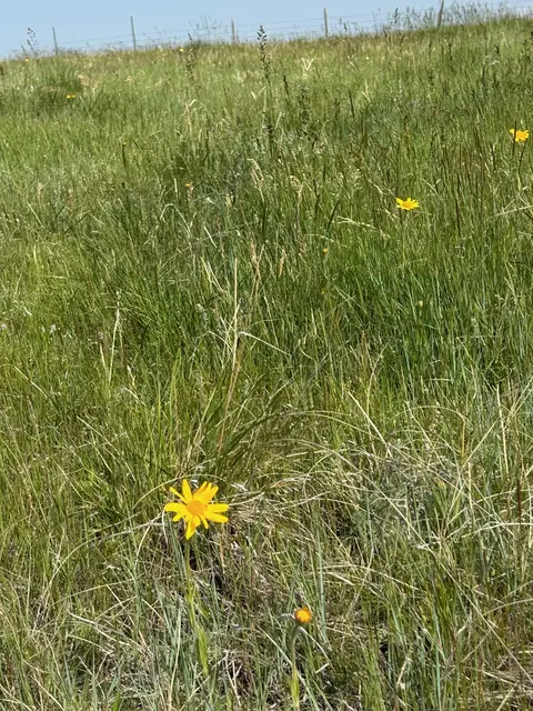 tbd U Bet Rd, Buffalo, MT 59418 photo 2