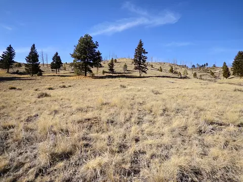 83 Nursery Creek Rd, Boulder, MT 59632 photo 61
