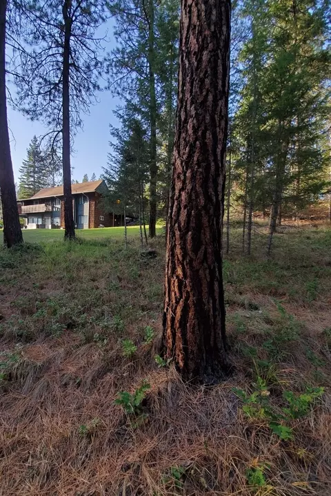 Exterior - 129 Airfield Rd, Libby, MT 59923 photo 14 of 15