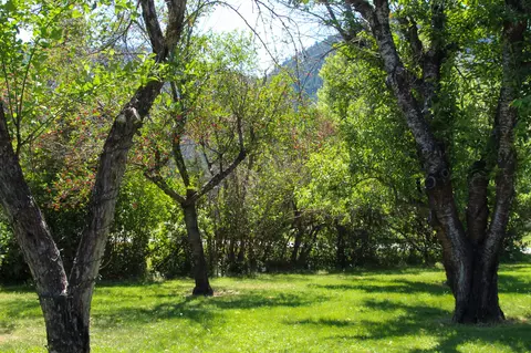 Exterior - 911 Greers Ferry Rd, Libby, MT 59923 photo 10 of 14
