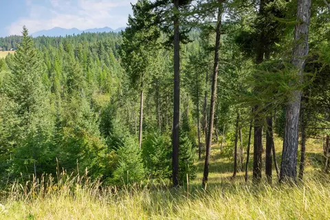 Other - 239 Stage Ridge Rd, Bigfork, MT 59911 photo 18 of 18