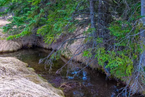 Other - 3700 Glen Lake Rd, Eureka, MT 59917 photo 33 of 45