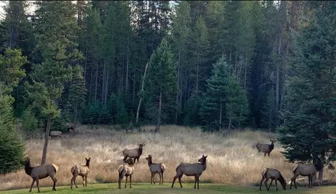 Other - 3700 Glen Lake Rd, Eureka, MT 59917 photo 43 of 45
