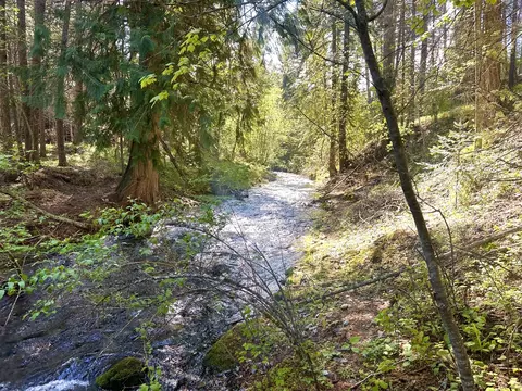 71 Osprey Dr E, Thompson Falls, MT 59873