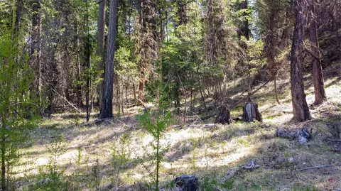 lot7 Whispering Pnes, Fortine, MT 59918