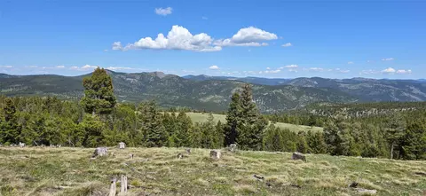 8 Tract Garnet Range, Drummond, MT 59825