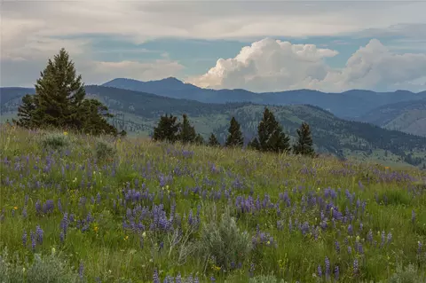 3 Tract Bull Elk, Drummond, MT 59832